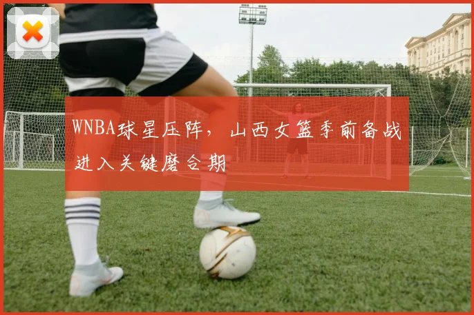 WNBA球星压阵，山西女篮季前备战进入关键磨合期 - 百度体育推荐