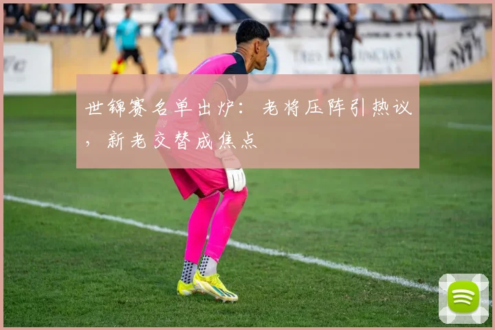 世锦赛名单出炉：老将压阵引热议，新老交替成焦点 - 百度体育精选