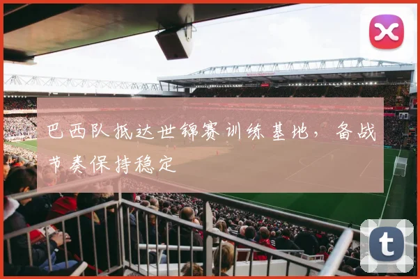 巴西队抵达世锦赛训练基地，备战节奏保持稳定 - 百度体育资讯