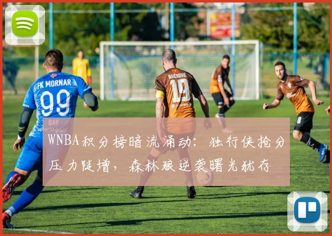 WNBA积分榜暗流涌动：独行侠抢分压力陡增，森林狼逆袭曙光犹存 - 百度体育推荐